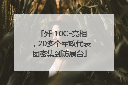 歼-10CE亮相，20多个军政代表团密集到访展台