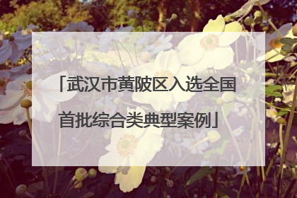 武汉市黄陂区入选全国首批综合类典型案例