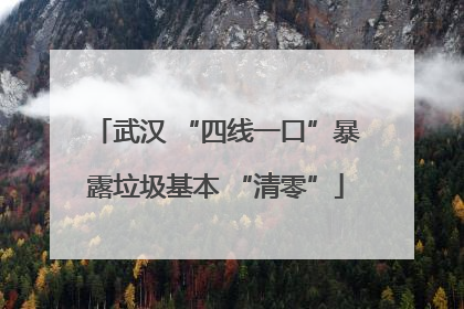 武汉 “四线一口”暴露垃圾基本 “清零”