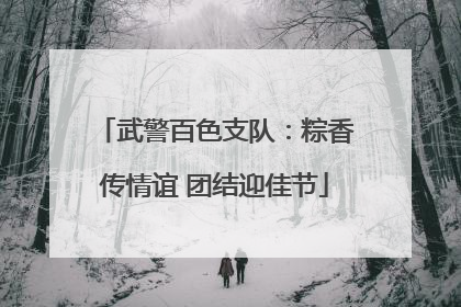 武警百色支队：粽香传情谊 团结迎佳节
