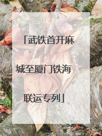 武铁首开麻城至厦门铁海联运专列