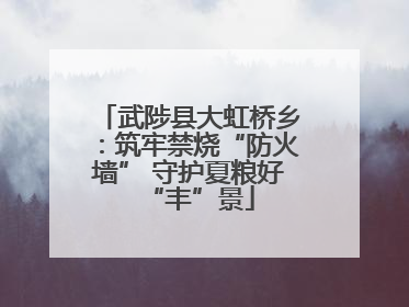 武陟县大虹桥乡：筑牢禁烧“防火墙” 守护夏粮好“丰”景