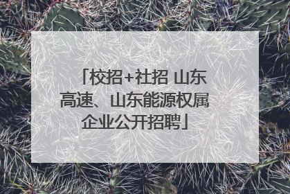 校招+社招 山东高速、山东能源权属企业公开招聘