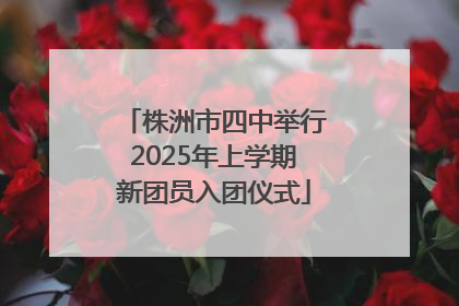 株洲市四中举行2025年上学期新团员入团仪式