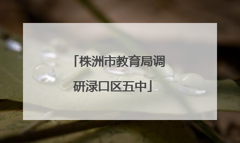 株洲市教育局调研渌口区五中
