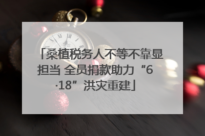 桑植税务人不等不靠显担当 全员捐款助力“6·18”洪灾重建
