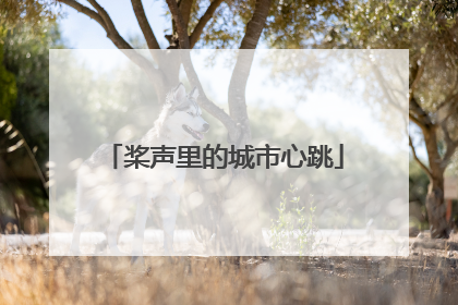 桨声里的城市心跳