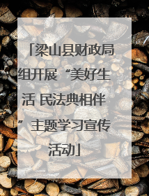 梁山县财政局组开展“美好生活 民法典相伴”主题学习宣传活动