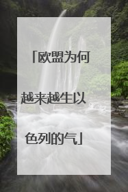 欧盟为何越来越生以色列的气