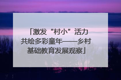 激发“村小”活力 共绘多彩童年——乡村基础教育发展观察