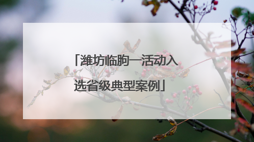 潍坊临朐一活动入选省级典型案例