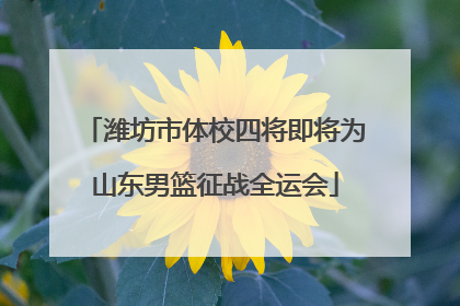 潍坊市体校四将即将为山东男篮征战全运会