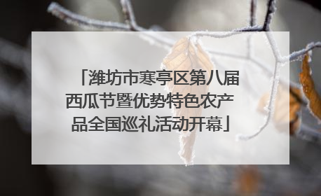 潍坊市寒亭区第八届西瓜节暨优势特色农产品全国巡礼活动开幕