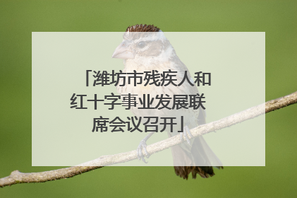 潍坊市残疾人和红十字事业发展联席会议召开
