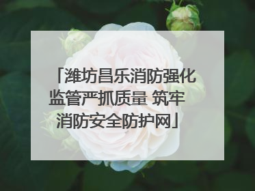 潍坊昌乐消防强化监管严抓质量 筑牢消防安全防护网