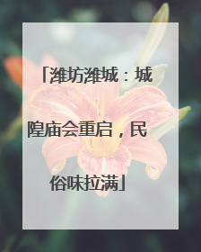 潍坊潍城：城隍庙会重启，民俗味拉满