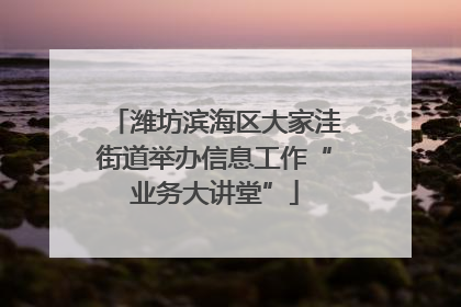 潍坊滨海区大家洼街道举办信息工作“业务大讲堂”