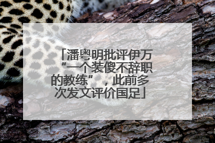 潘粤明批评伊万“一个装傻不辞职的教练”，此前多次发文评价国足