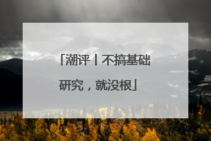 潮评丨不搞基础研究，就没根