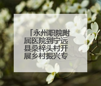 永州职院附属医院到宁远县桑梓头村开展乡村振兴专题调研