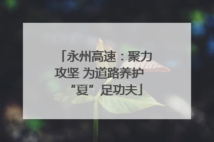 永州高速：聚力攻坚 为道路养护“夏”足功夫