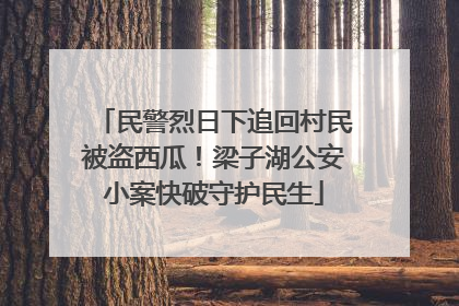 民警烈日下追回村民被盗西瓜！梁子湖公安小案快破守护民生
