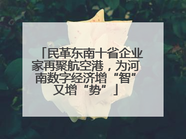 民革东南十省企业家再聚航空港，为河南数字经济增“智”又增“势”