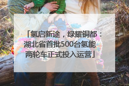 氢启新途，绿耀铜都：湖北省首批500台氢能两轮车正式投入运营