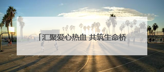 汇聚爱心热血 共筑生命桥梁 菏泽单县召开2025年无偿献血工作启动仪式