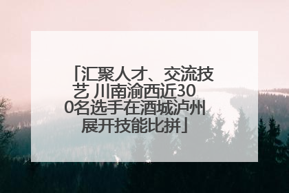 汇聚人才、交流技艺 川南渝西近300名选手在酒城泸州展开技能比拼