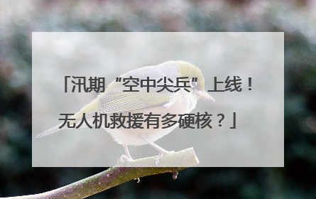 汛期“空中尖兵”上线！无人机救援有多硬核？