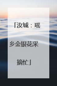 汝城：瑶乡金银花采摘忙