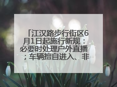 江汉路步行街区6月1日起施行新规：必要时处理户外直播；车辆擅自进入、非机动车任意停放的，依法处理