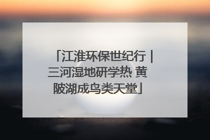 江淮环保世纪行｜三河湿地研学热 黄陂湖成鸟类天堂