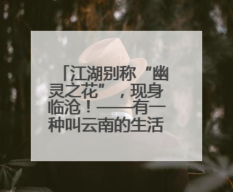 江湖别称“幽灵之花”，现身临沧！——有一种叫云南的生活之365天