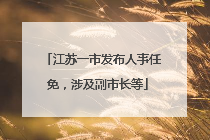 江苏一市发布人事任免，涉及副市长等