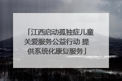 江西启动孤独症儿童关爱服务公益行动 提供系统化康复服务