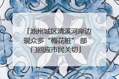 池州城区清溪河岸边现众多“梅花桩” 部门回应市民关切