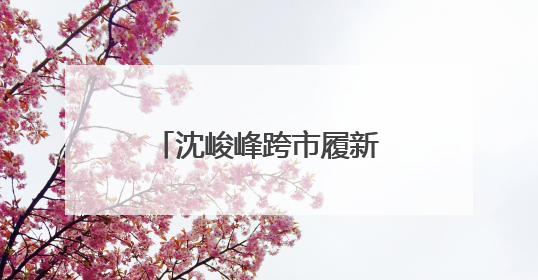 沈峻峰跨市履新徐州市代理市长
