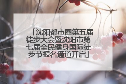 沈阳都市圈第五届徒步大会暨沈阳市第七届全民健身国际徒步节报名通道开启