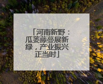 河南新野：瓜蒌藤蔓展新绿，产业振兴正当时