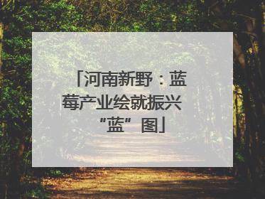 河南新野：蓝莓产业绘就振兴“蓝”图