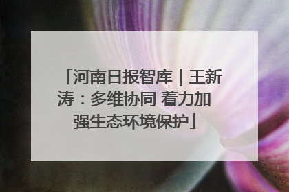 河南日报智库｜王新涛：多维协同 着力加强生态环境保护