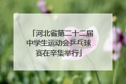 河北省第二十二届中学生运动会乒乓球赛在辛集举行