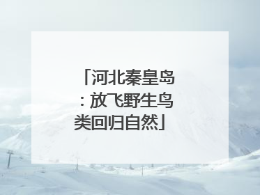 河北秦皇岛：放飞野生鸟类回归自然