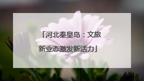 河北秦皇岛：文旅新业态激发新活力