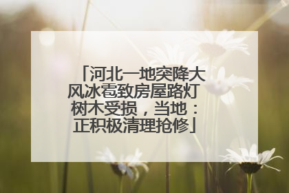 河北一地突降大风冰雹致房屋路灯树木受损，当地：正积极清理抢修