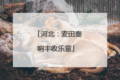 河北：麦田奏响丰收乐章