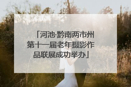 河池·黔南两市州第十一届老年摄影作品联展成功举办