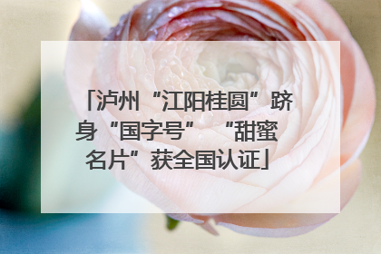 泸州“江阳桂圆”跻身“国字号” “甜蜜名片”获全国认证